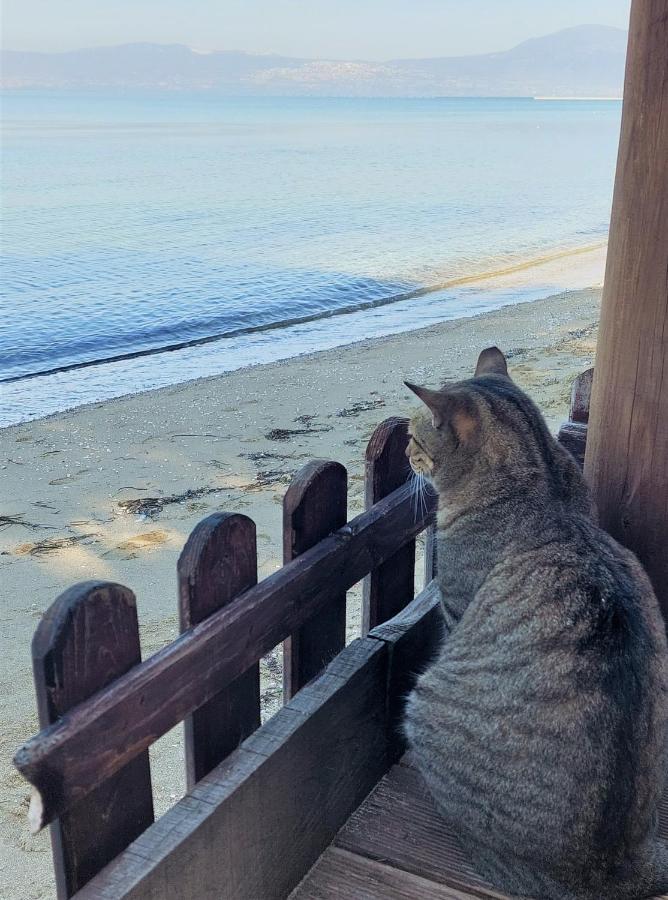 Niko'S Apartment - Beautiful Sea View Apartment ! Peraia  Bagian luar foto